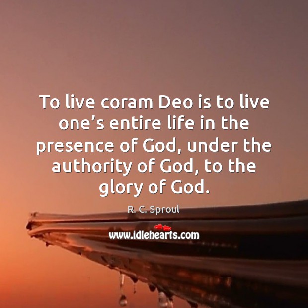 To live coram Deo is to live one’s entire life in Image