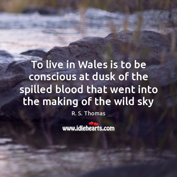 To live in Wales is to be conscious at dusk of the Image