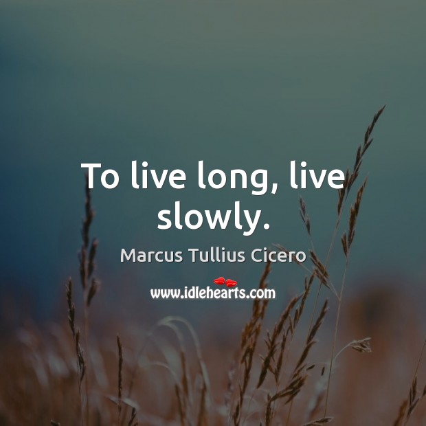To live long, live slowly. Marcus Tullius Cicero Picture Quote
