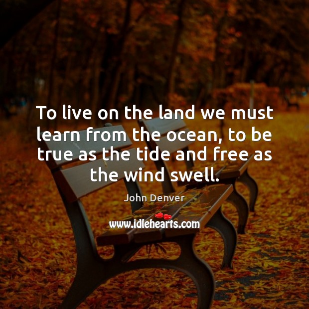 To live on the land we must learn from the ocean, to John Denver Picture Quote