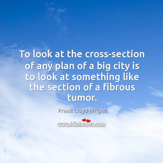 To look at the cross-section of any plan of a big city is to look at something like the section of a fibrous tumor. Image
