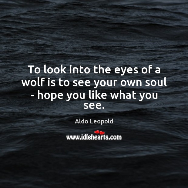 To look into the eyes of a wolf is to see your own soul – hope you like what you see. Image