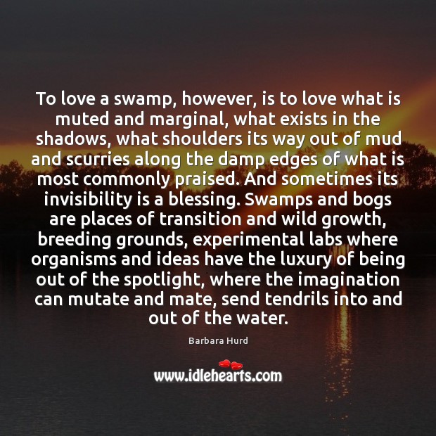 To love a swamp, however, is to love what is muted and Barbara Hurd Picture Quote