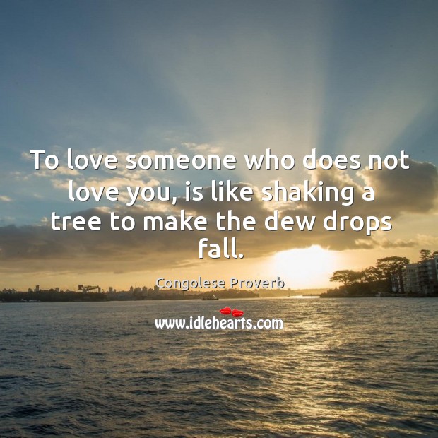 To love someone who does not love you, is like shaking a tree Congolese Proverbs Image