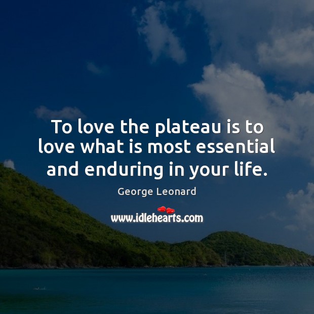 To love the plateau is to love what is most essential and enduring in your life. George Leonard Picture Quote