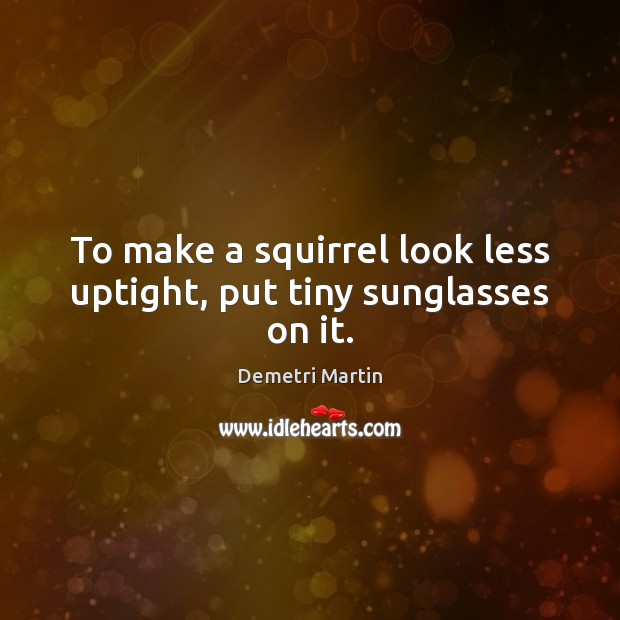 To make a squirrel look less uptight, put tiny sunglasses on it. Demetri Martin Picture Quote