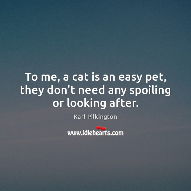 To me, a cat is an easy pet, they don’t need any spoiling or looking after. Image