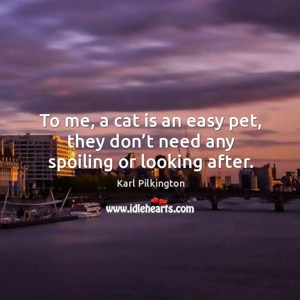 To me, a cat is an easy pet, they don’t need any spoiling or looking after. Karl Pilkington Picture Quote
