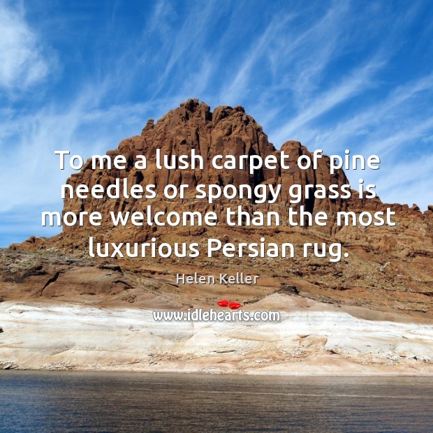 To me a lush carpet of pine needles or spongy grass is more welcome than the most luxurious persian rug. Image