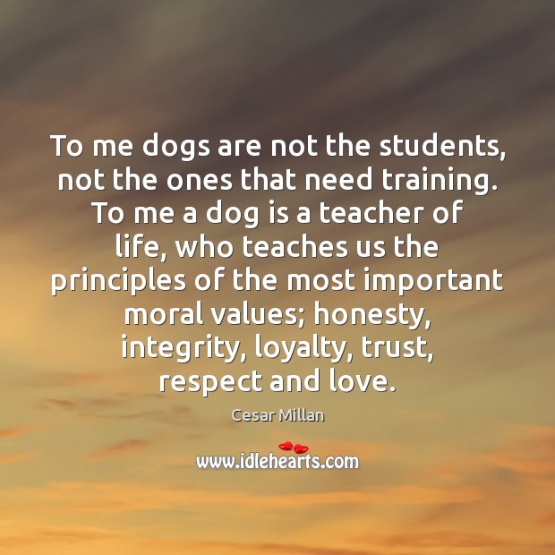 To me dogs are not the students, not the ones that need Cesar Millan Picture Quote