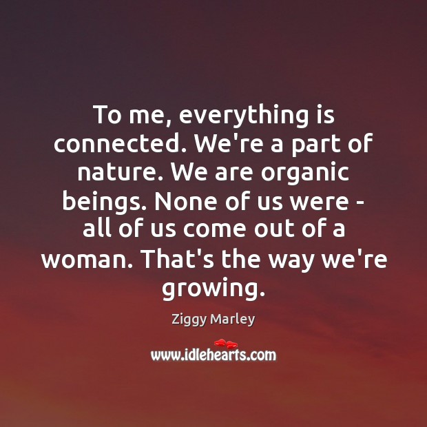 To me, everything is connected. We’re a part of nature. We are Ziggy Marley Picture Quote