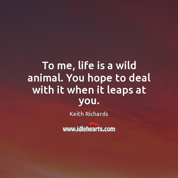 To me, life is a wild animal. You hope to deal with it when it leaps at you. Image