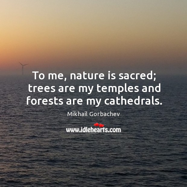 To me, nature is sacred; trees are my temples and forests are my cathedrals. Mikhail Gorbachev Picture Quote