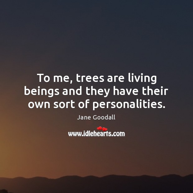 To me, trees are living beings and they have their own sort of personalities. Image