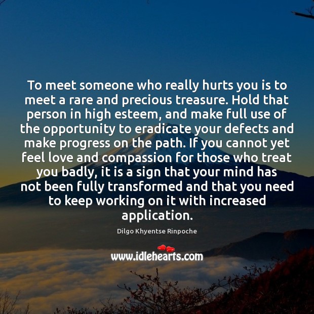 To meet someone who really hurts you is to meet a rare Dilgo Khyentse Rinpoche Picture Quote