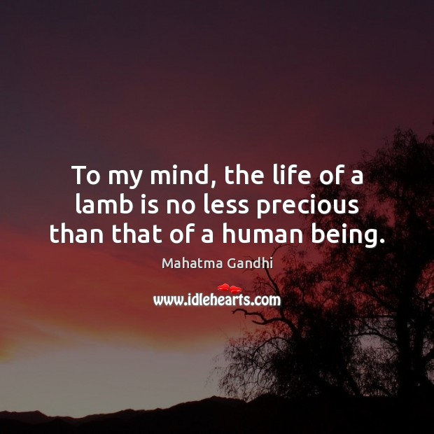 To my mind, the life of a lamb is no less precious than that of a human being. Image