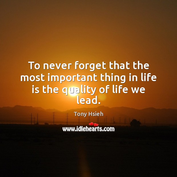 To never forget that the most important thing in life is the quality of life we lead. Tony Hsieh Picture Quote