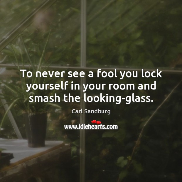 To never see a fool you lock yourself in your room and smash the looking-glass. Image