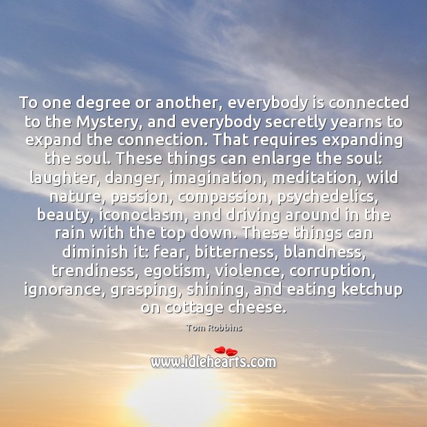 To one degree or another, everybody is connected to the Mystery, and Tom Robbins Picture Quote
