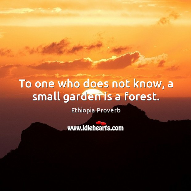 To one who does not know, a small garden is a forest. Ethiopia Proverbs Image
