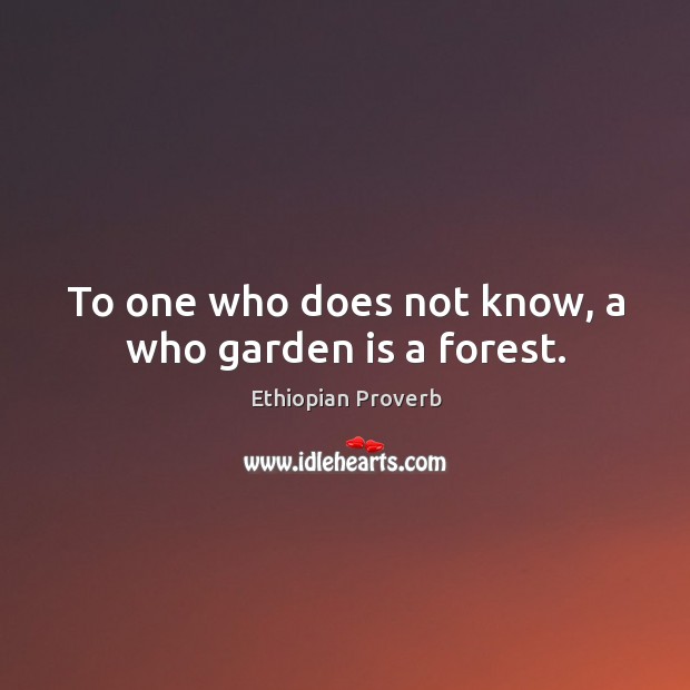 To one who does not know, a who garden is a forest. Ethiopian Proverbs Image