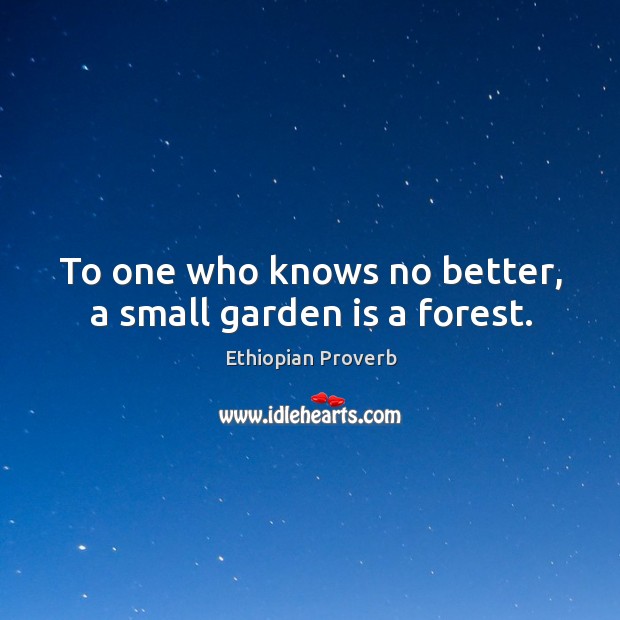 To one who knows no better, a small garden is a forest. Ethiopian Proverbs Image