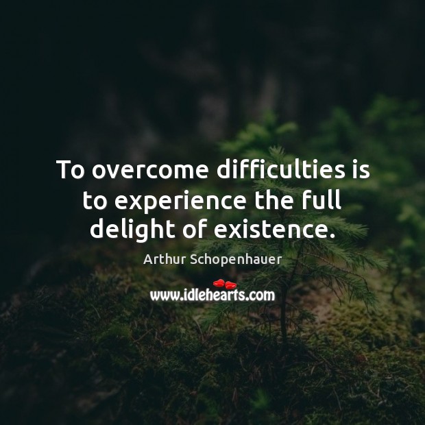 To overcome difficulties is to experience the full delight of existence. Image