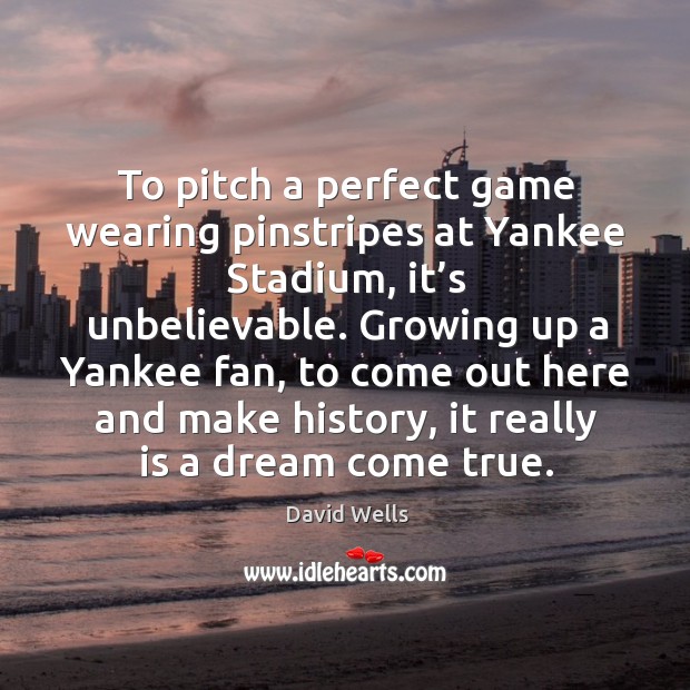 To pitch a perfect game wearing pinstripes at yankee stadium, it’s unbelievable. David Wells Picture Quote