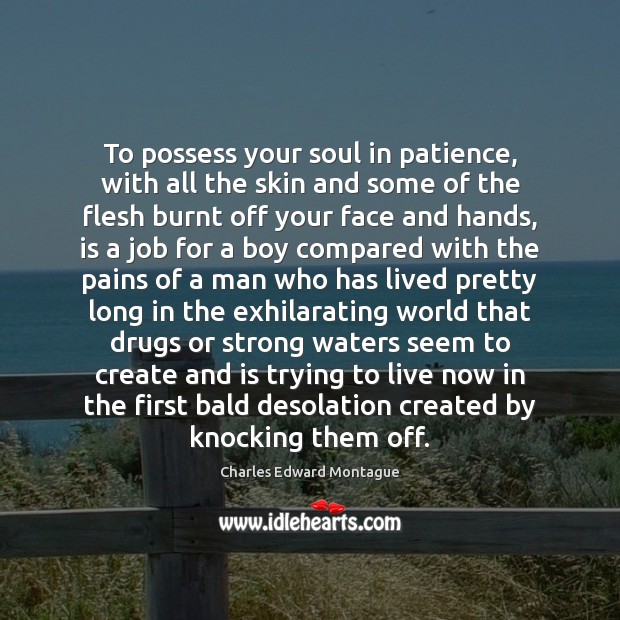 To possess your soul in patience, with all the skin and some Charles Edward Montague Picture Quote