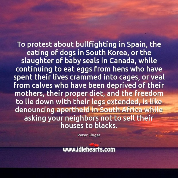 To protest about bullfighting in Spain, the eating of dogs in South 
