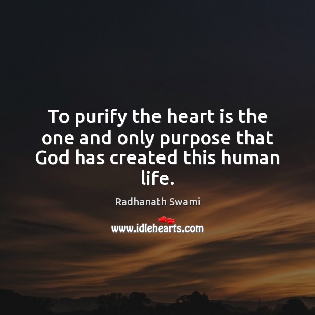 To purify the heart is the one and only purpose that God has created this human life. Radhanath Swami Picture Quote