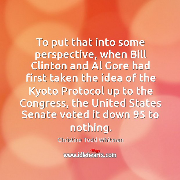 To put that into some perspective, when bill clinton and al gore had first taken the idea Christine Todd Whitman Picture Quote
