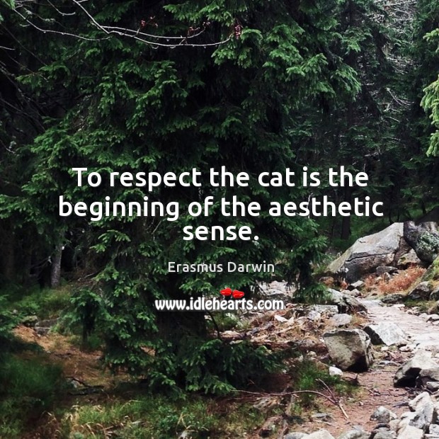 To respect the cat is the beginning of the aesthetic sense. Erasmus Darwin Picture Quote