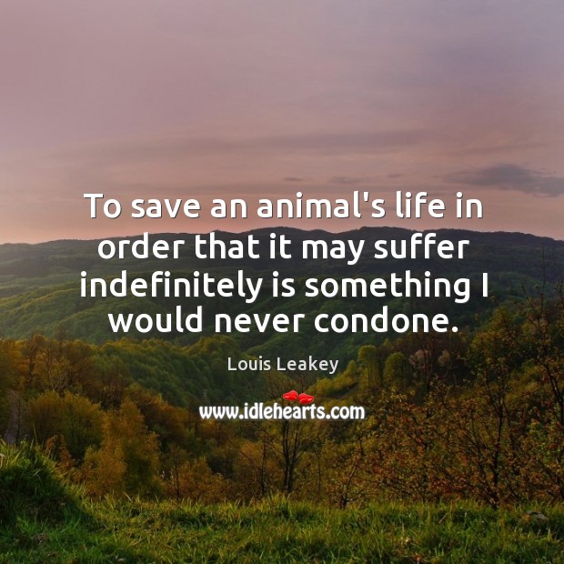 To save an animal’s life in order that it may suffer indefinitely Image