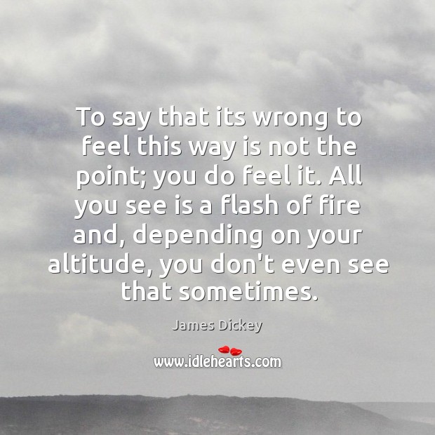 To say that its wrong to feel this way is not the point; you do feel it. James Dickey Picture Quote