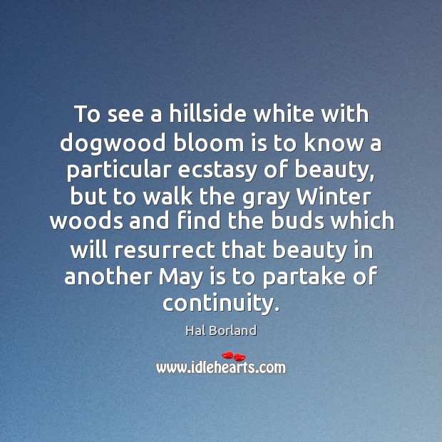 To see a hillside white with dogwood bloom is to know a Hal Borland Picture Quote