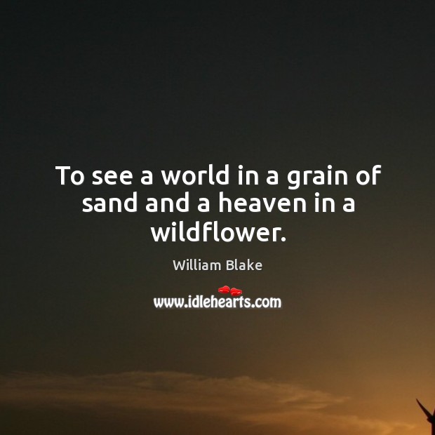 To see a world in a grain of sand and a heaven in a wildflower. William Blake Picture Quote
