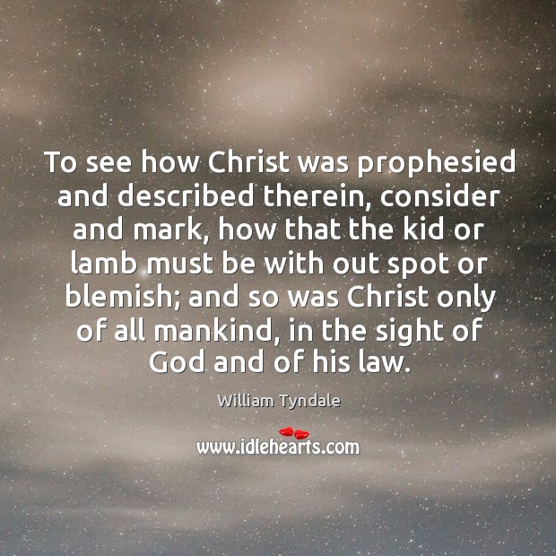 To see how christ was prophesied and described therein, consider and mark, how that the kid William Tyndale Picture Quote