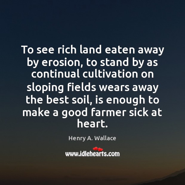 To see rich land eaten away by erosion, to stand by as Henry A. Wallace Picture Quote