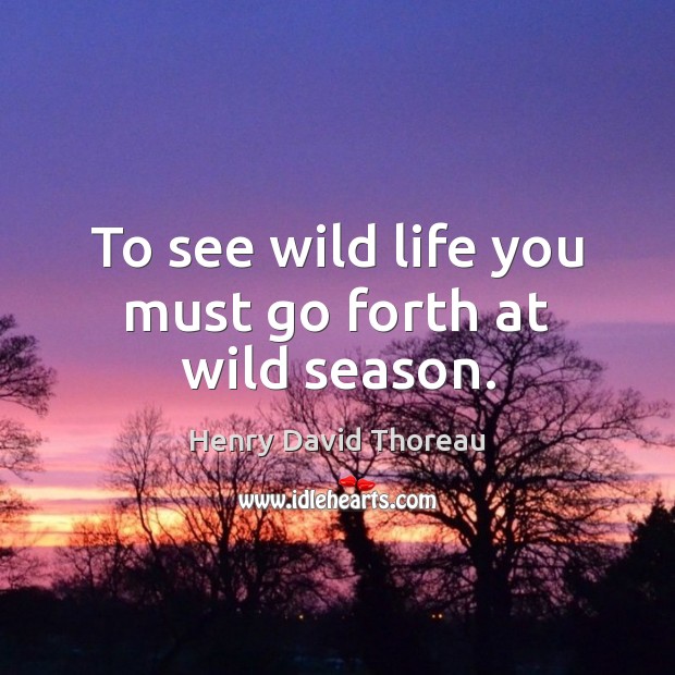 To see wild life you must go forth at wild season. Image