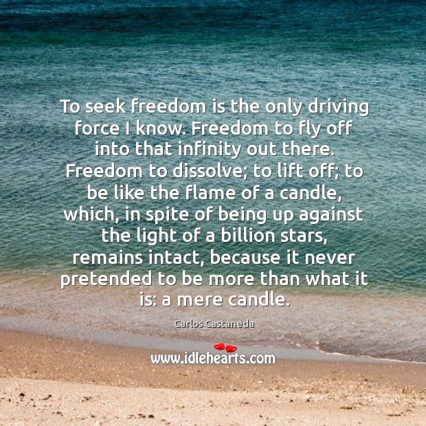 To seek freedom is the only driving force I know. Freedom to Carlos Castaneda Picture Quote