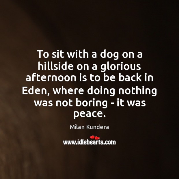 To sit with a dog on a hillside on a glorious afternoon Milan Kundera Picture Quote