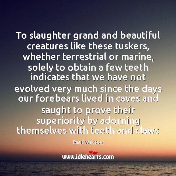 To slaughter grand and beautiful creatures like these tuskers, whether terrestrial or Image