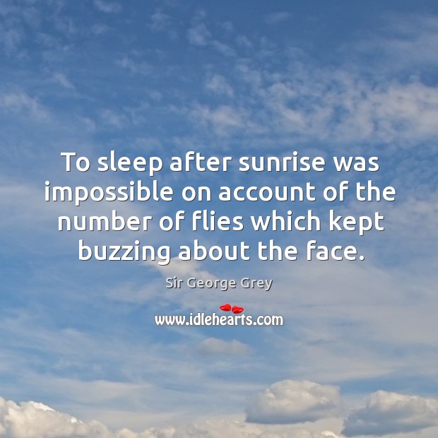 To sleep after sunrise was impossible on account of the number of flies which kept buzzing about the face. Sir George Grey Picture Quote