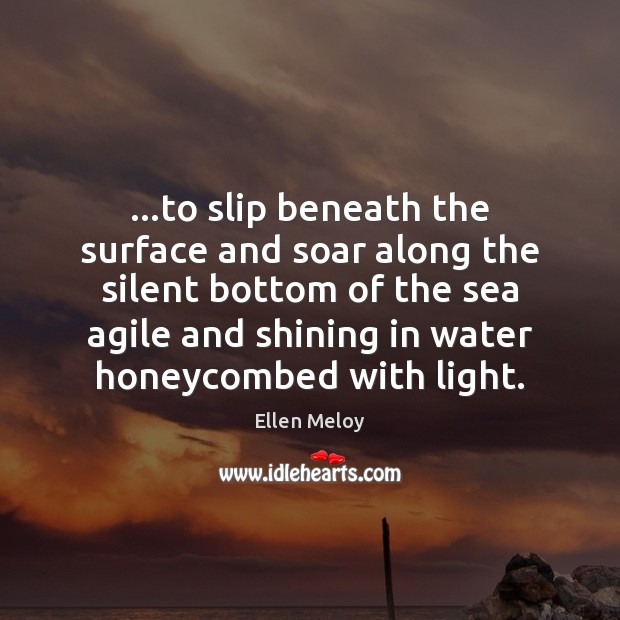 …to slip beneath the surface and soar along the silent bottom of Ellen Meloy Picture Quote