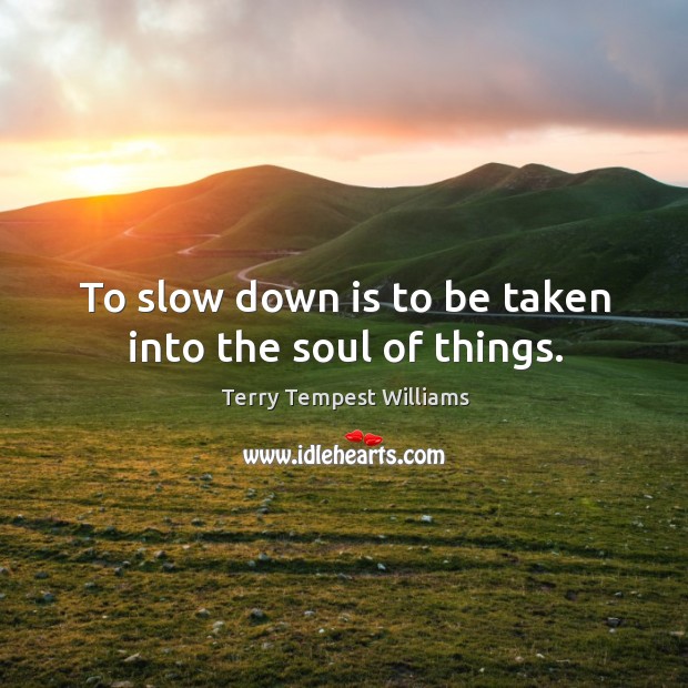 To slow down is to be taken into the soul of things. Image