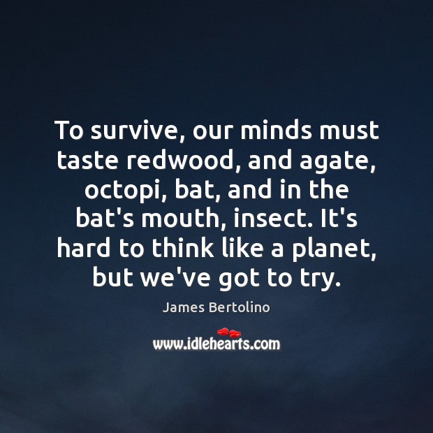 To survive, our minds must taste redwood, and agate, octopi, bat, and James Bertolino Picture Quote