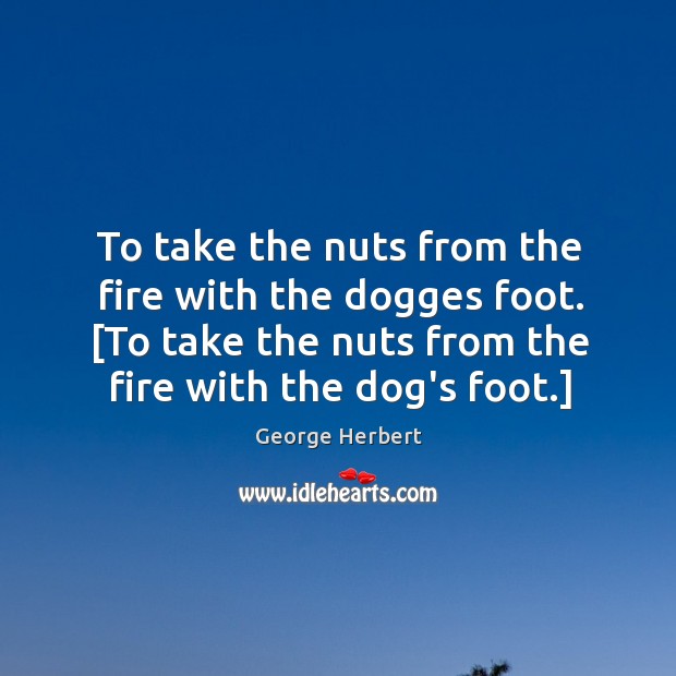 To take the nuts from the fire with the dogges foot. [To George Herbert Picture Quote