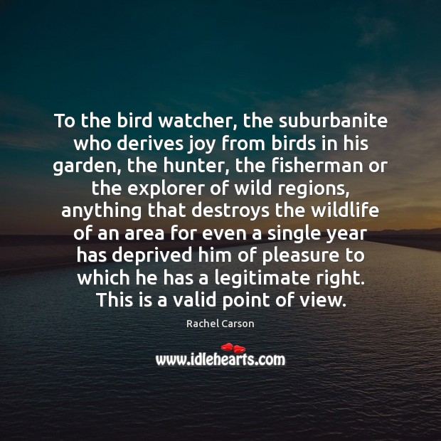 To the bird watcher, the suburbanite who derives joy from birds in Rachel Carson Picture Quote