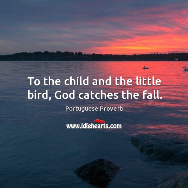 To the child and the little bird, God catches the fall. Portuguese Proverbs Image